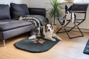 Teppiche für Hunde und Katzen